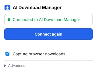 The extension popup showing Connected to AI Download Manager, and the Capture browser downloads switch turned on.